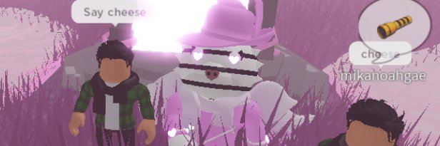 Frosted Pumpkin banner