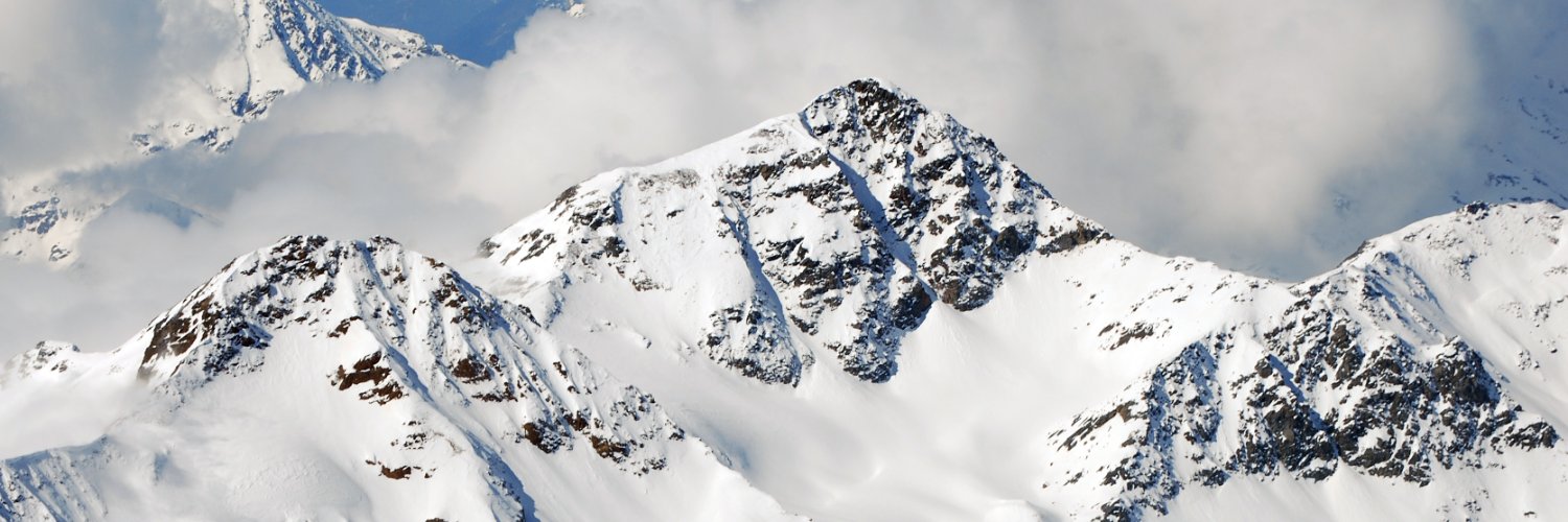 STriglione's profile banner image