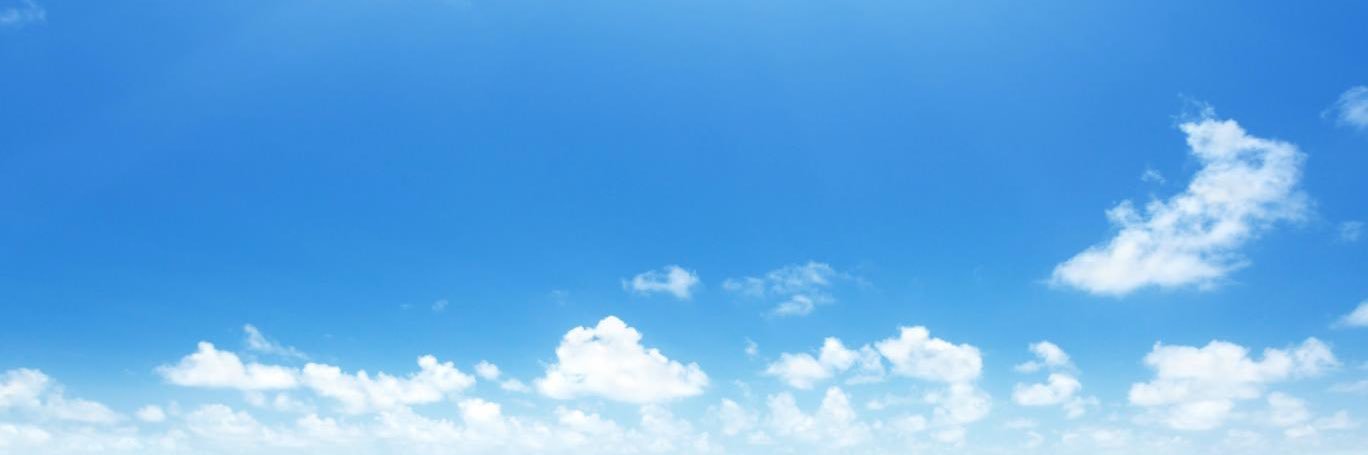 halsanea's profile banner image