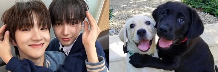 lelito❓🌙 banner