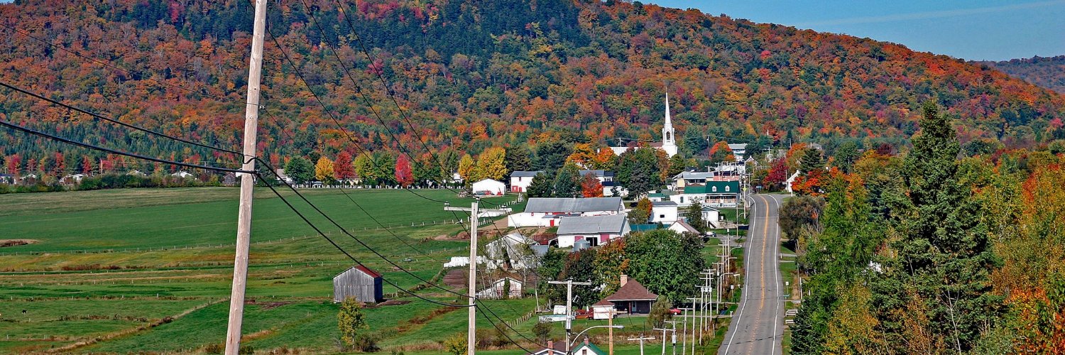 dandichach's profile banner image
