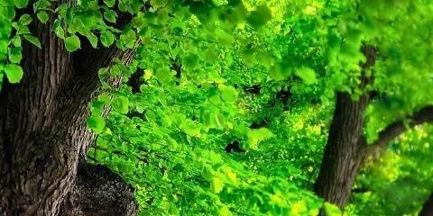 natalye0's profile banner image