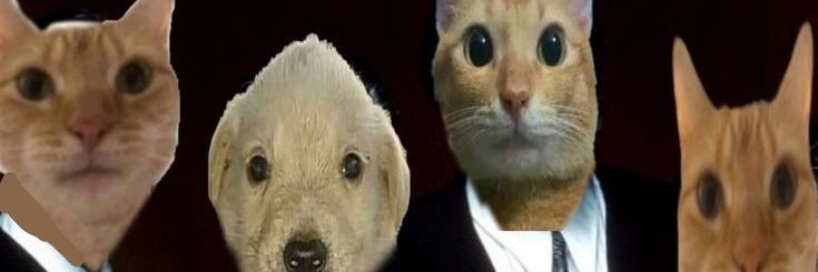 willgonzle11340's profile banner image