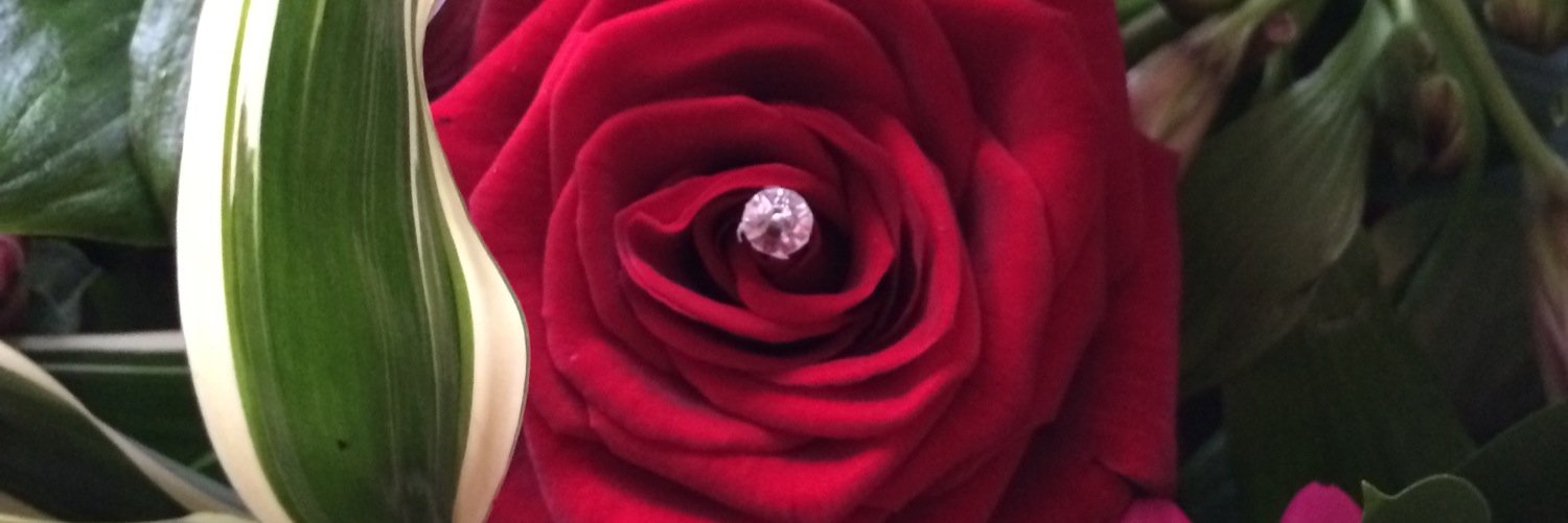KubesCrossley's profile banner image