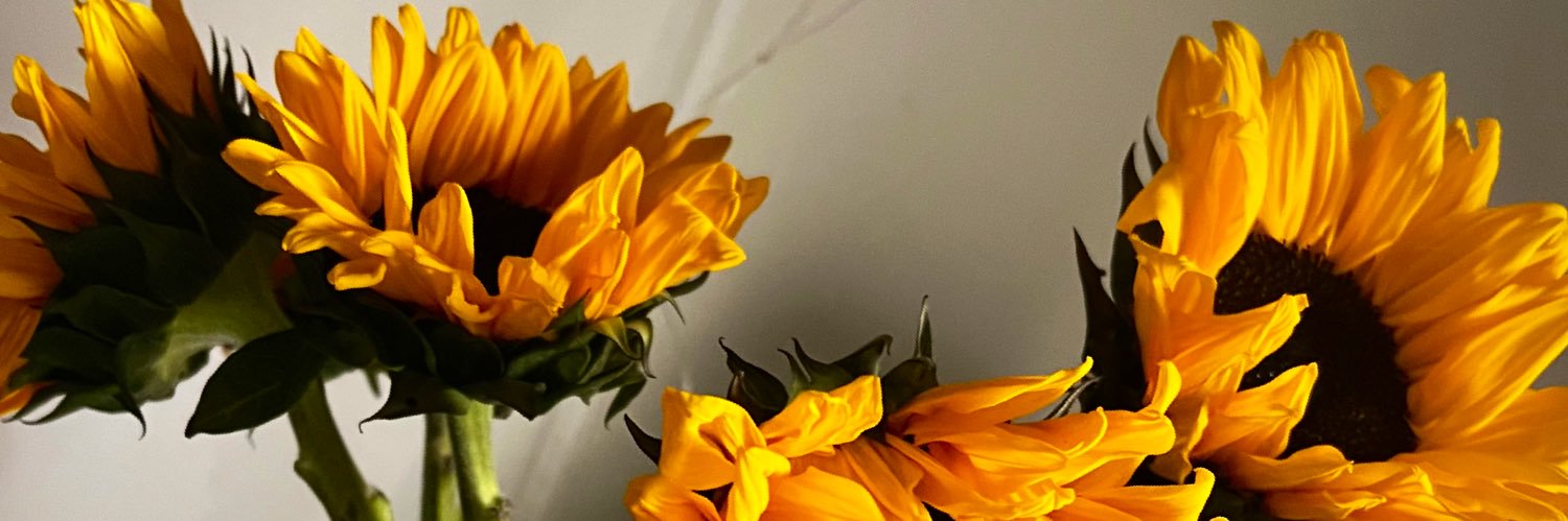 Morningstar_Tay's profile banner image