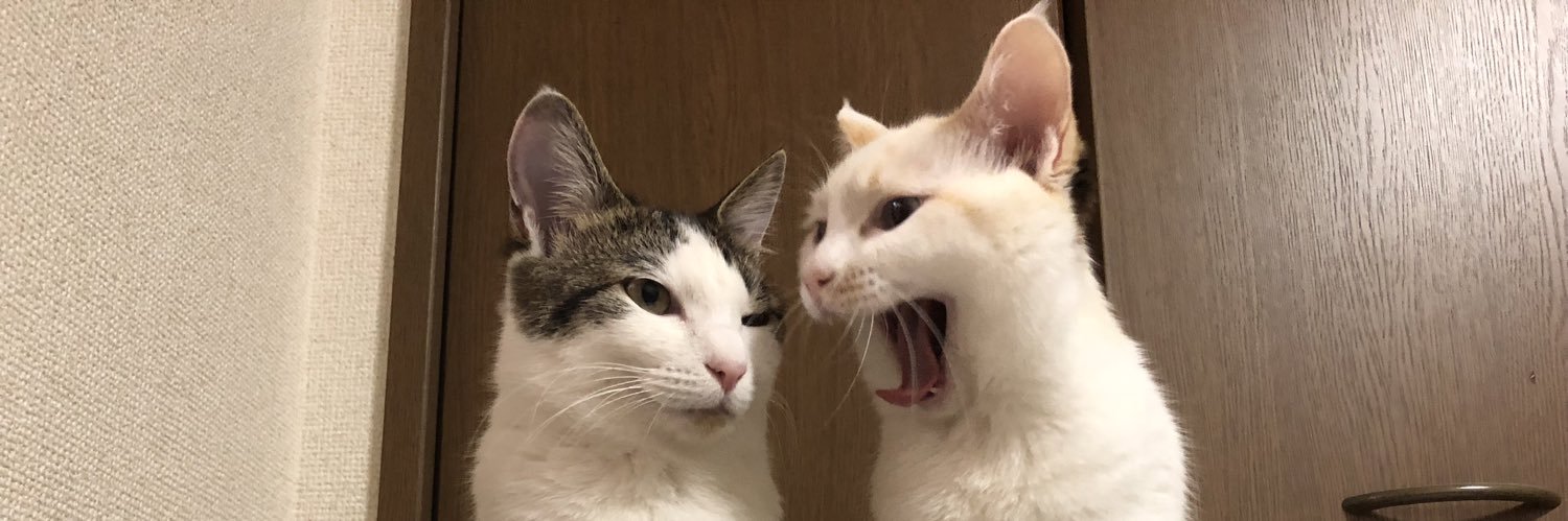 トム田中💉×9✨️ banner