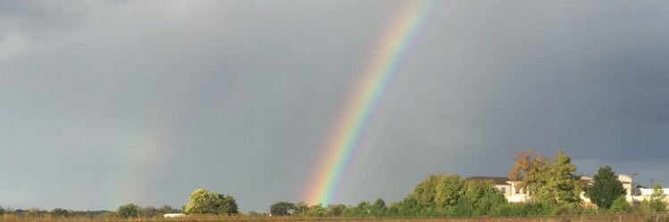 mackenzithomsen's profile banner image
