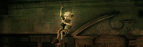 Awimbawe♀ banner