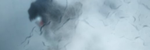 Doccy's profile banner image