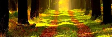 aboukhan_12's profile banner image