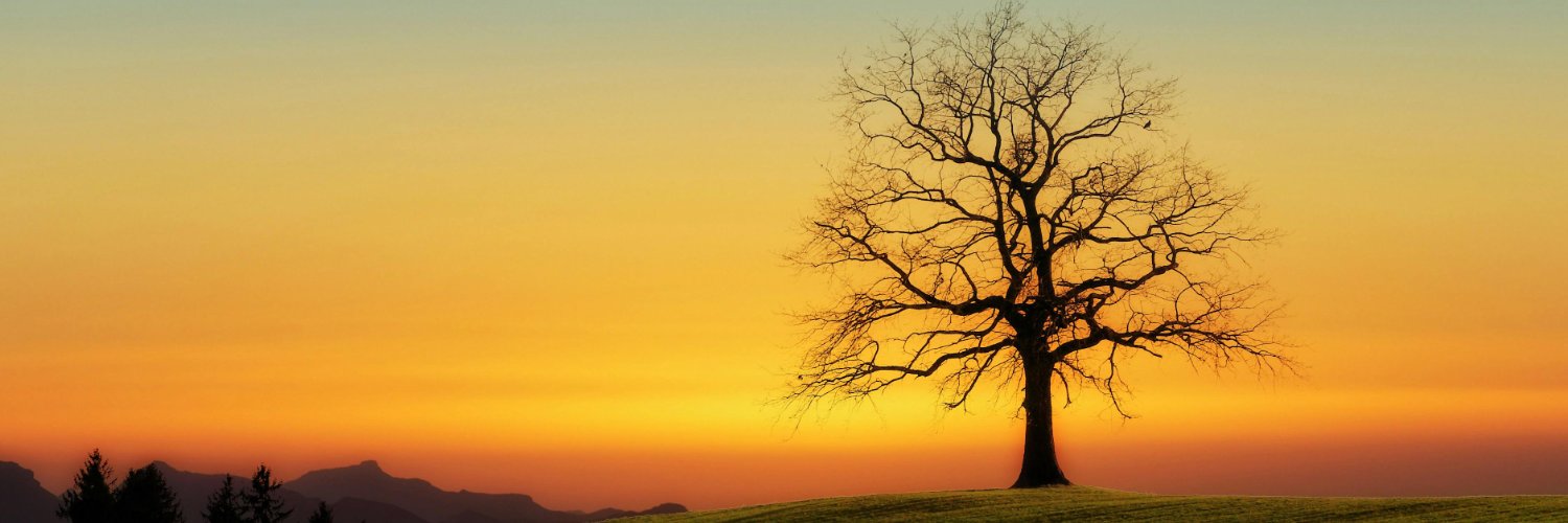 catnp99's profile banner image