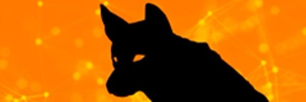 dingocoins Profile Banner