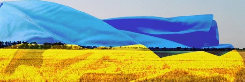 Angels of the Front 🇺🇦 banner