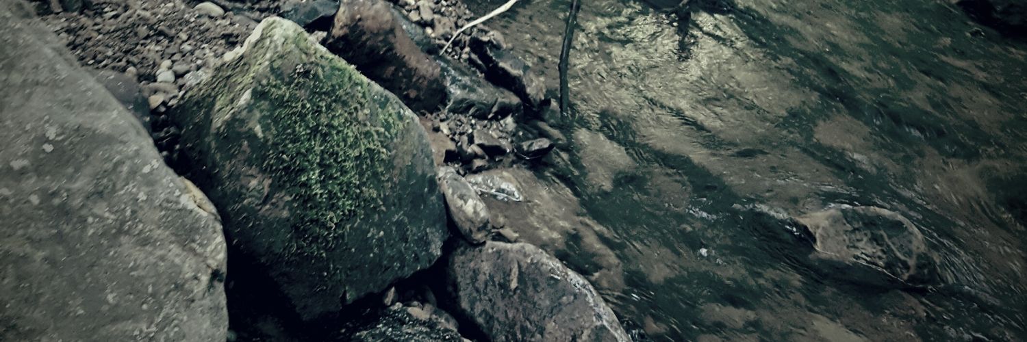 fort73's profile banner image