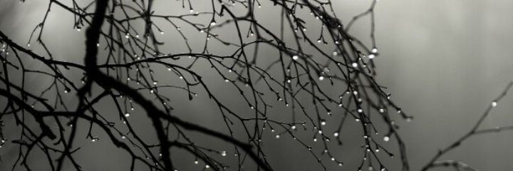 متعب الساري banner