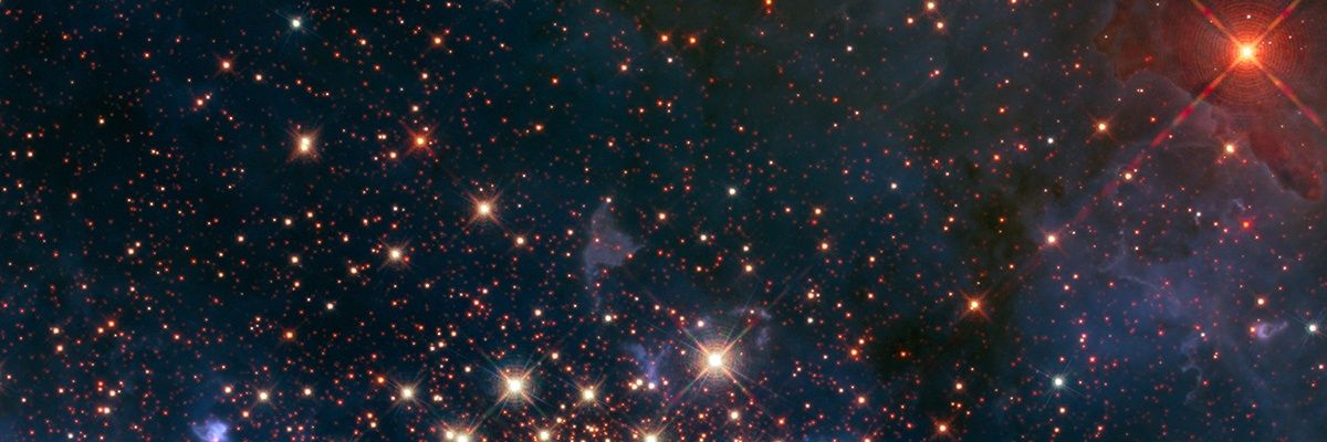 purpleyou98's profile banner image