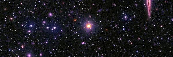 calicooxx Profile Banner