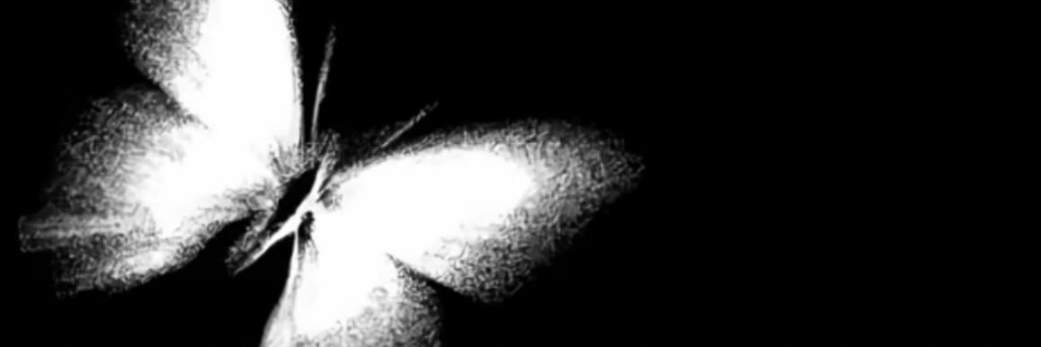 ezz3456's profile banner image