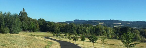 emialv Profile Banner