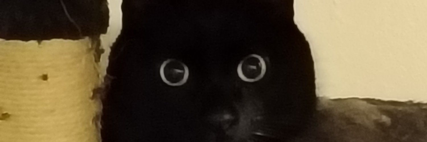 Toussa/Michel Labrie 404 banner