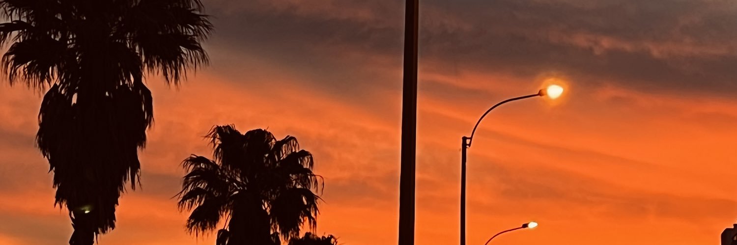 looliitoogm's profile banner image