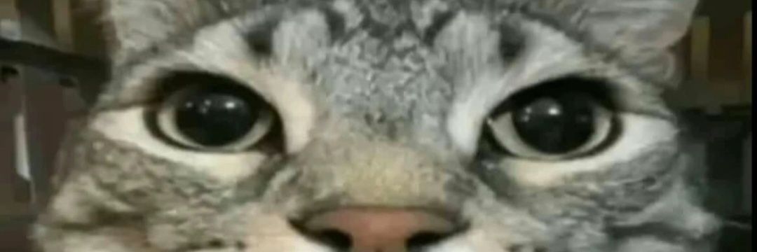Wagooner84's profile banner image