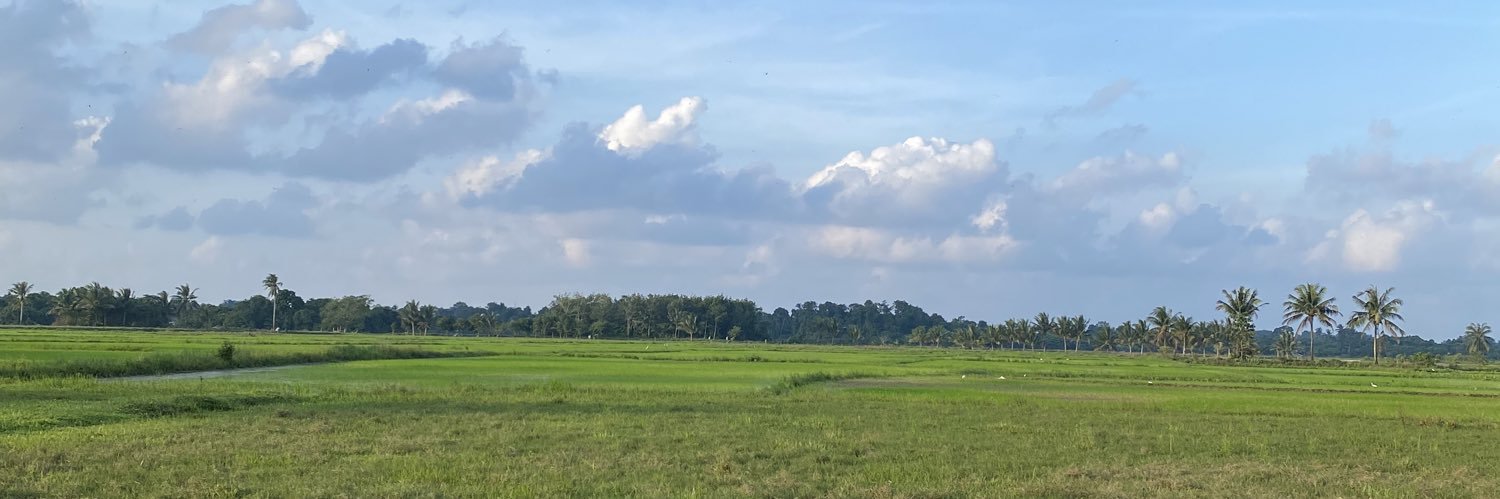 sauberlina's profile banner image