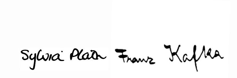 bea, the creator banner
