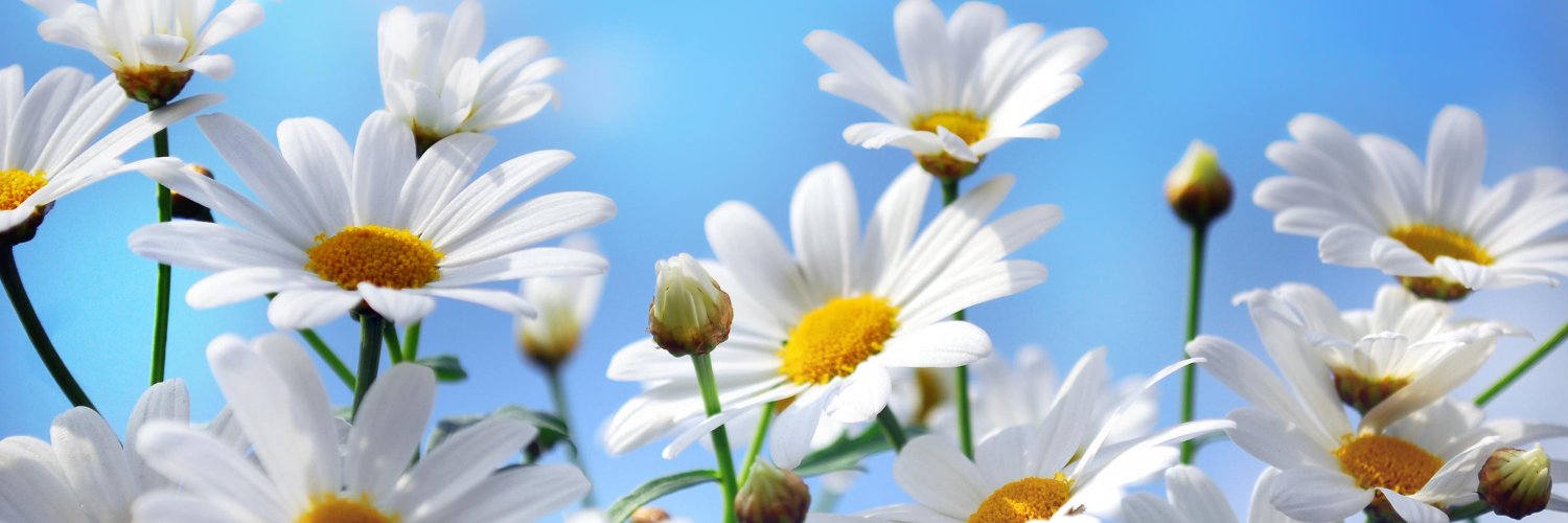 jsooolit's profile banner image
