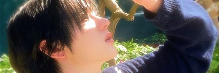 🐱 banner
