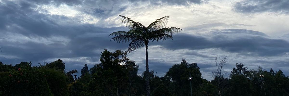 Dannaaaaap310's profile banner image