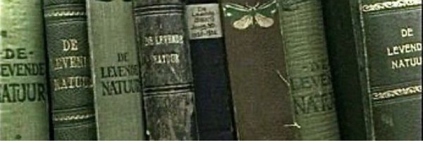 hankaanime Profile Banner