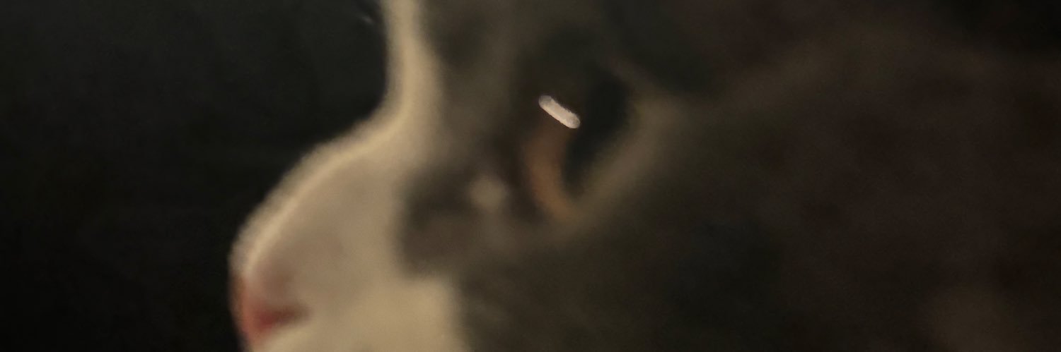 anastonsia's profile banner image