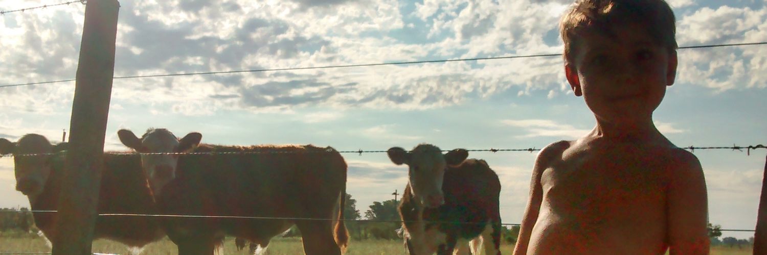 SofiDelu's profile banner image