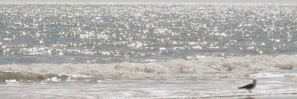 labyrinthxk Profile Banner
