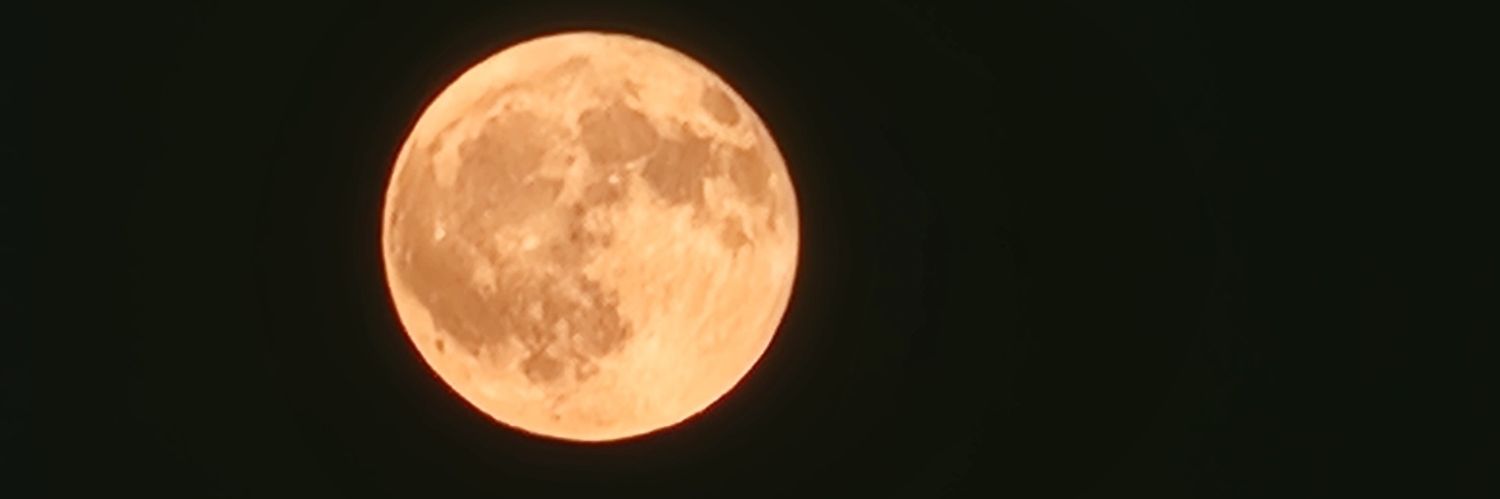 scoraaism's profile banner image