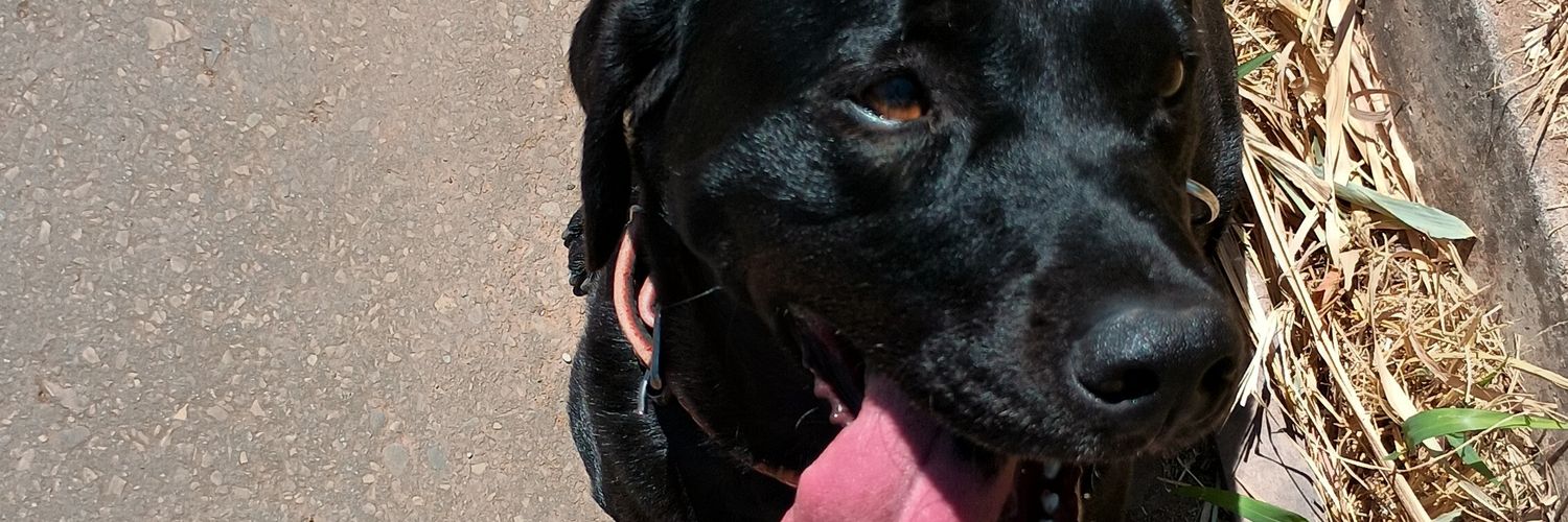 Filho banner