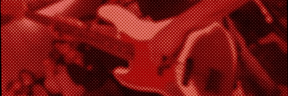 Danny 🐇's banner