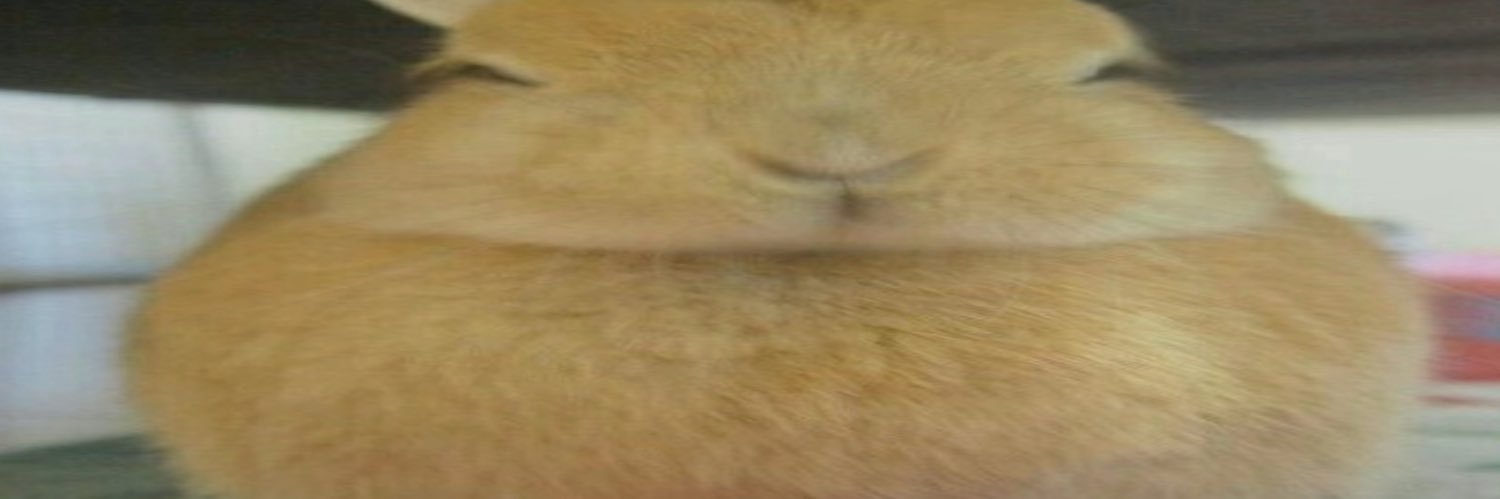 Lanceyyy banner