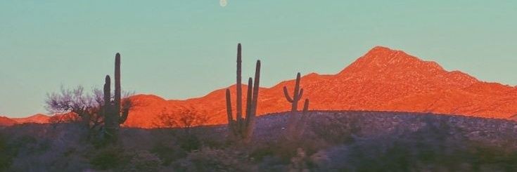 Zeus_Ruiz_'s profile banner image