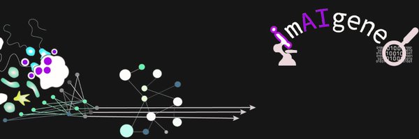 imaigenelab Profile Banner