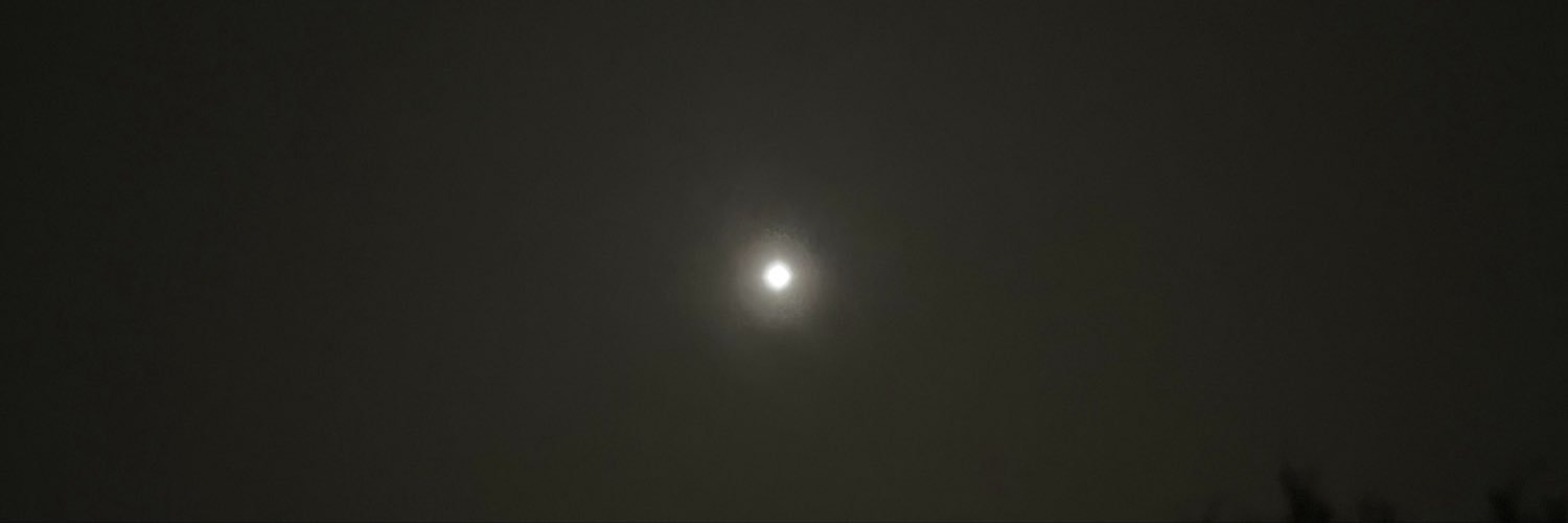 WolvesWool's profile banner image