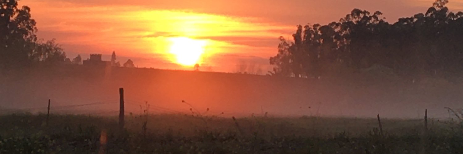nachafranco's profile banner image