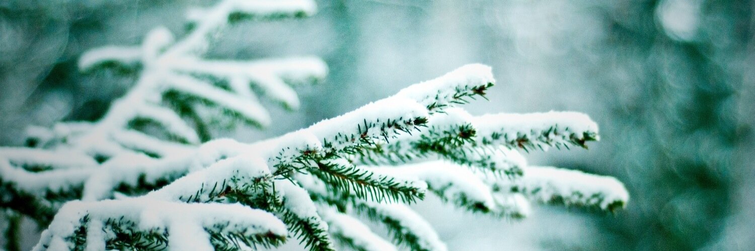 mepine's profile banner image