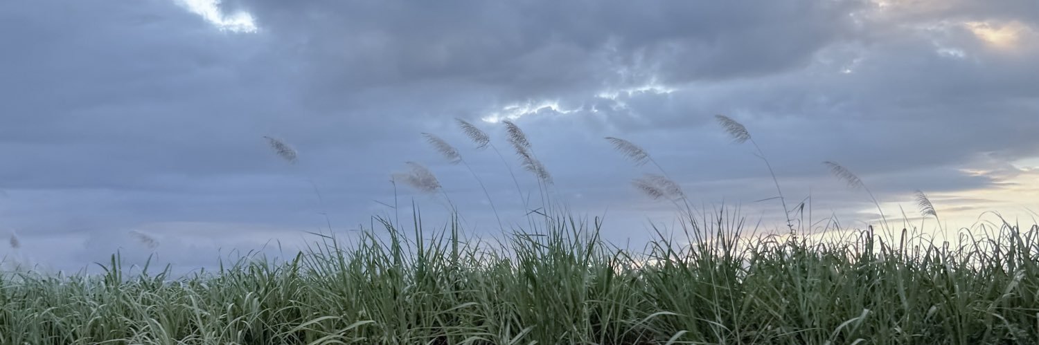 ju ૮ ྀི◞ ⸝⸝ ◟ ྀིა banner