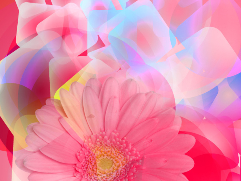 AbhijitChail's profile banner image