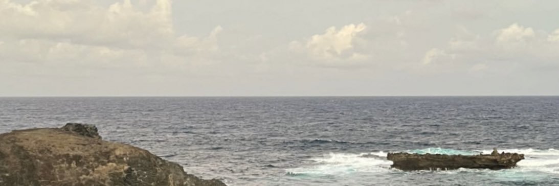 debnribeiro's profile banner image