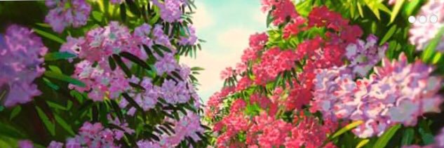 belenchum's profile banner image