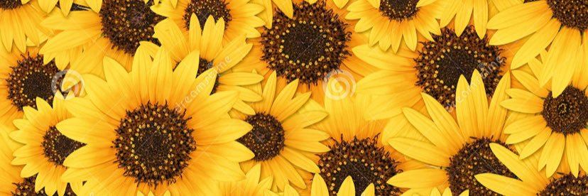 meeegs_denn's profile banner image