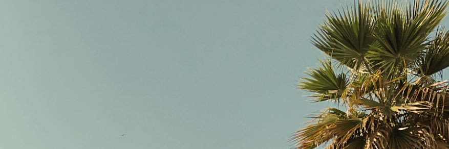 MYENEZI's profile banner image